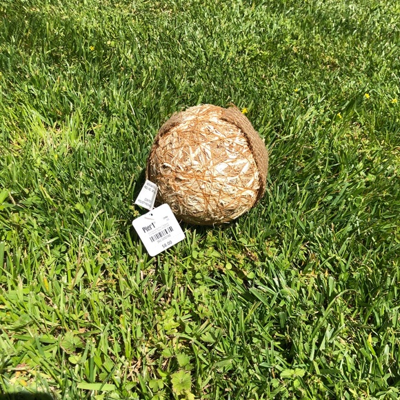 NWT Pier 1 Imports Decorative Natural Vase Filler - Picture 10 of 13